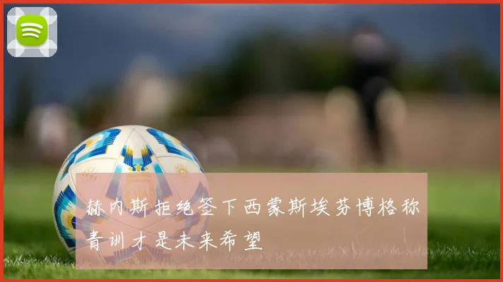 赫内斯拒绝签下西蒙斯埃芬博格称青训才是未来希望